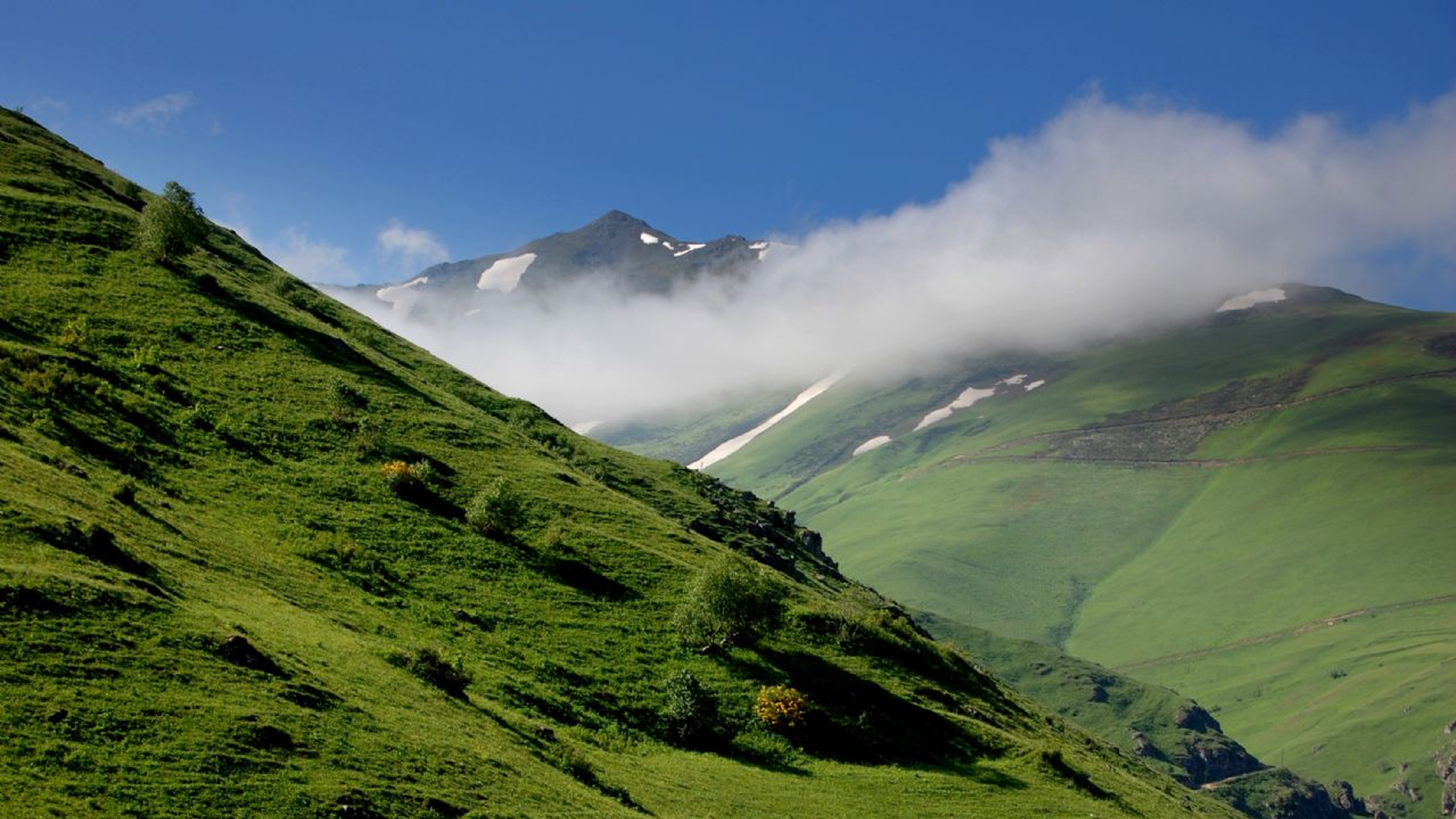Rize Çağrankaya Yaylası