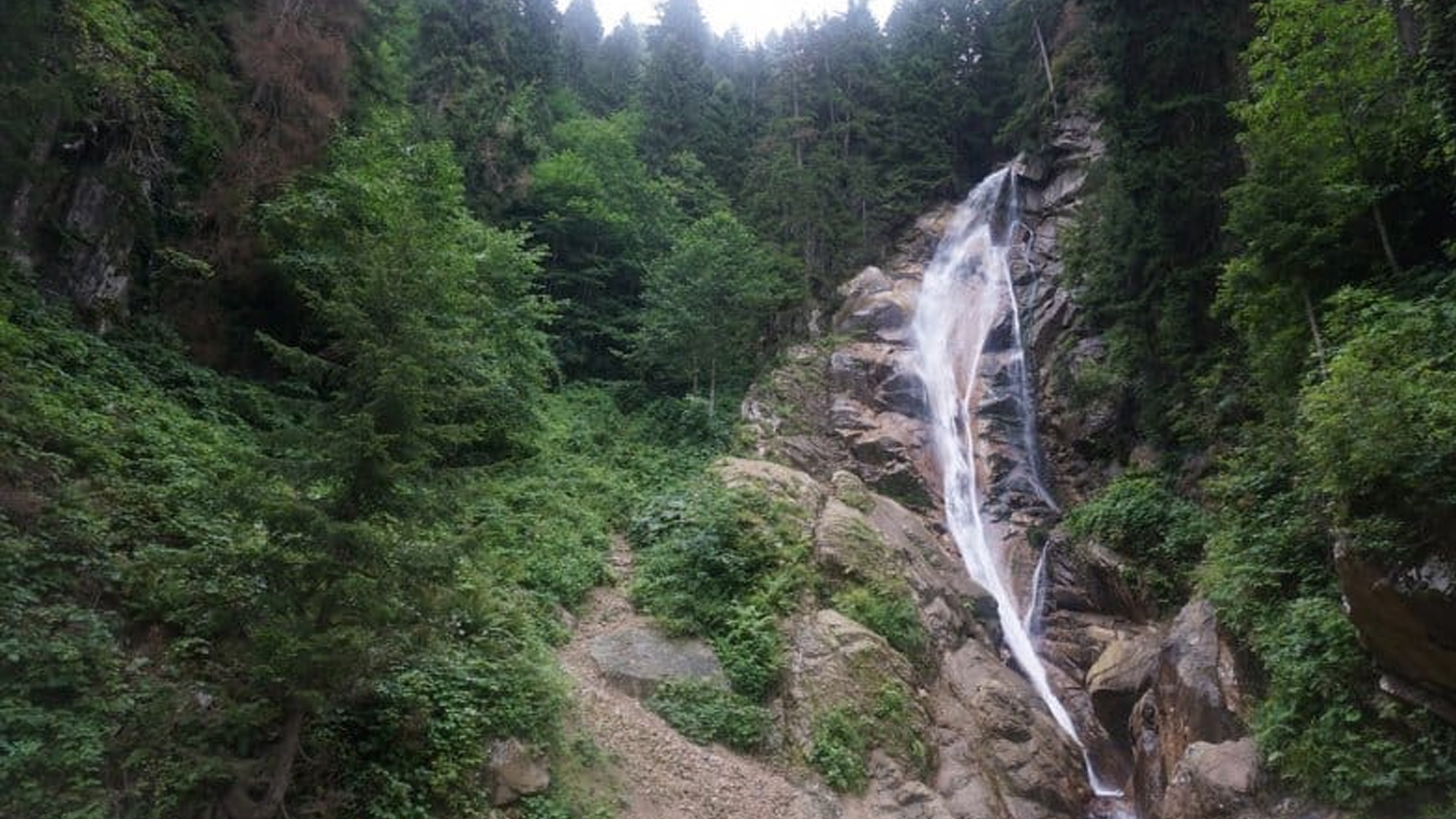 Rize Cimil Şelalesi