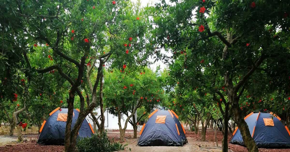 Adrasan Kamp Alanı