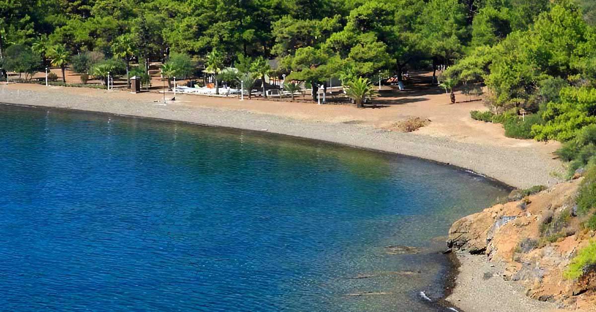 Aktur Koyu Ve Plajı