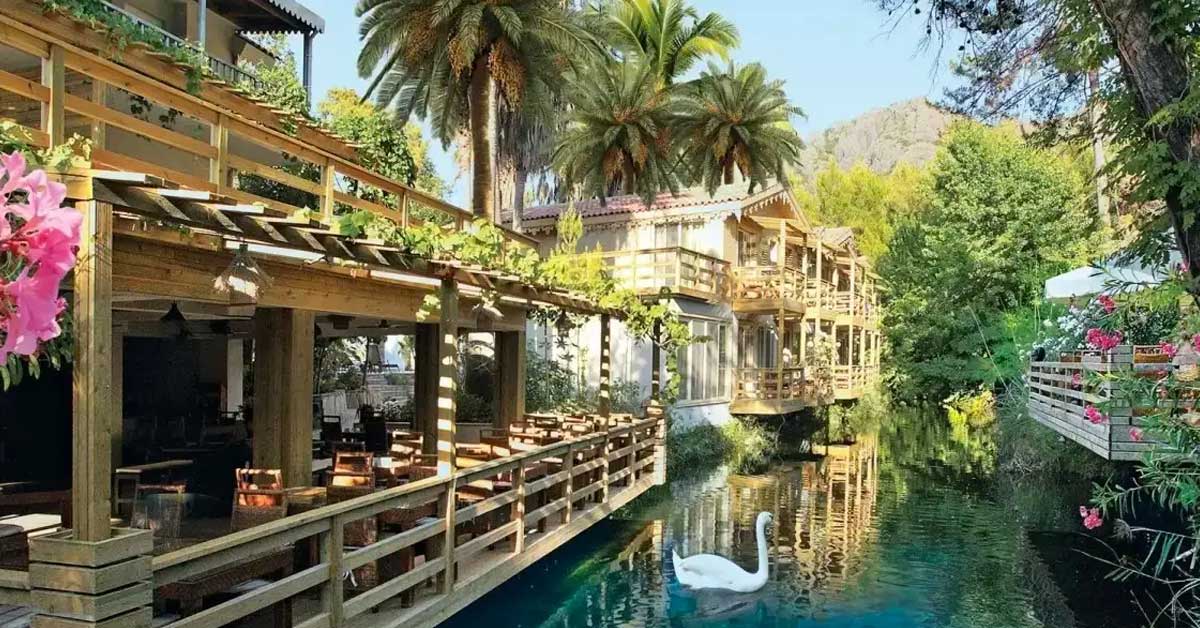 Bördübet / Muğla