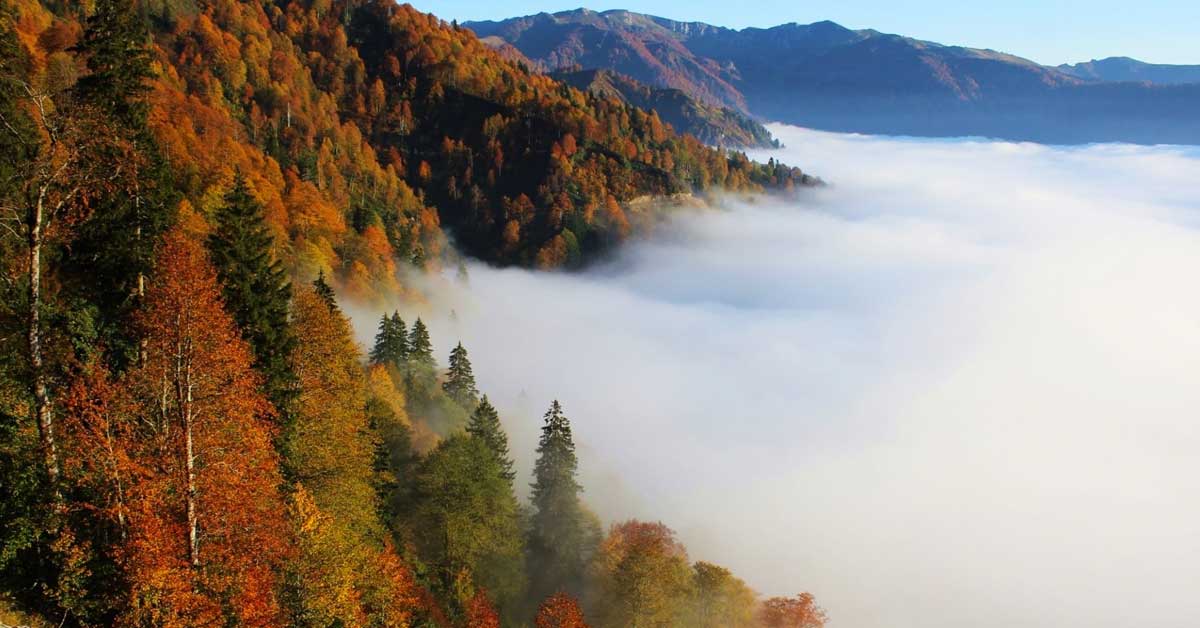 Maçahel Artvin