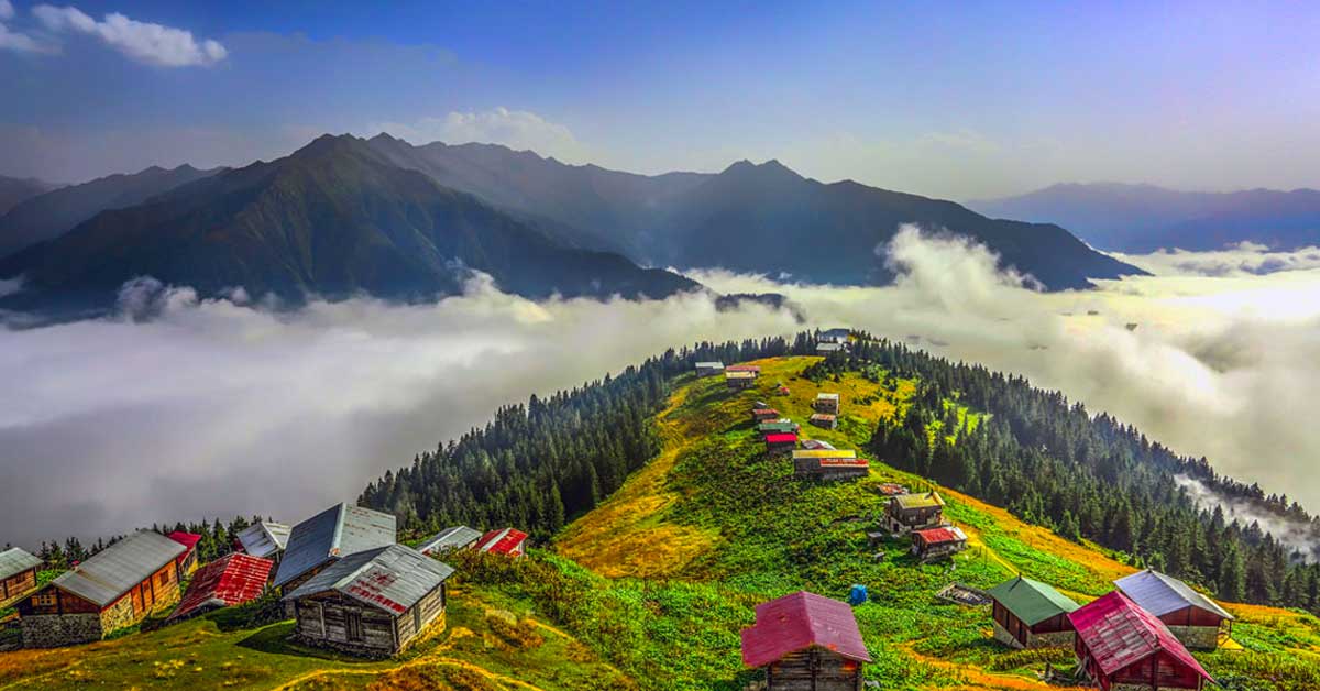 Pokut Yaylası / Rize