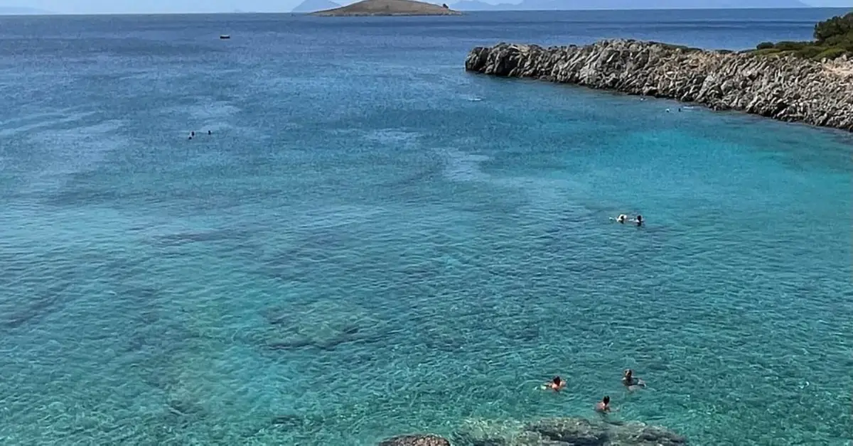 Akvaryum Koyu