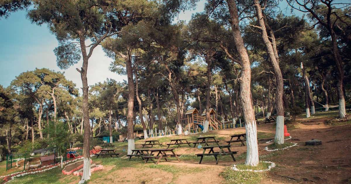 Büyükada Tabiat Parkı