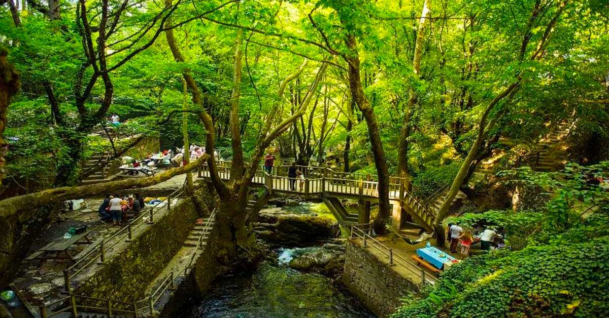 Kazdağları / Çanakkale
