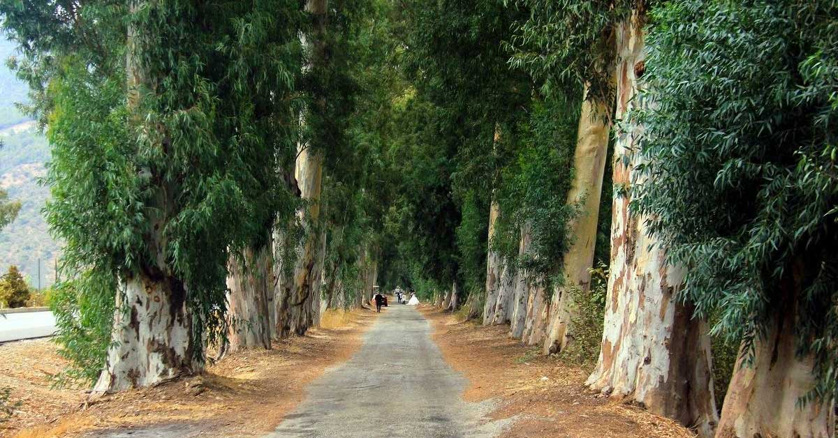 Gökova Aşıklar Yolu
