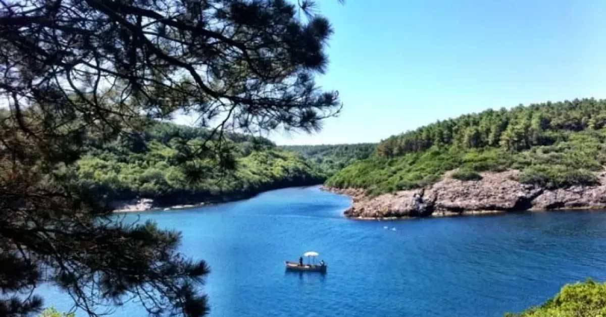 Hamsilos Koyu / Sinop