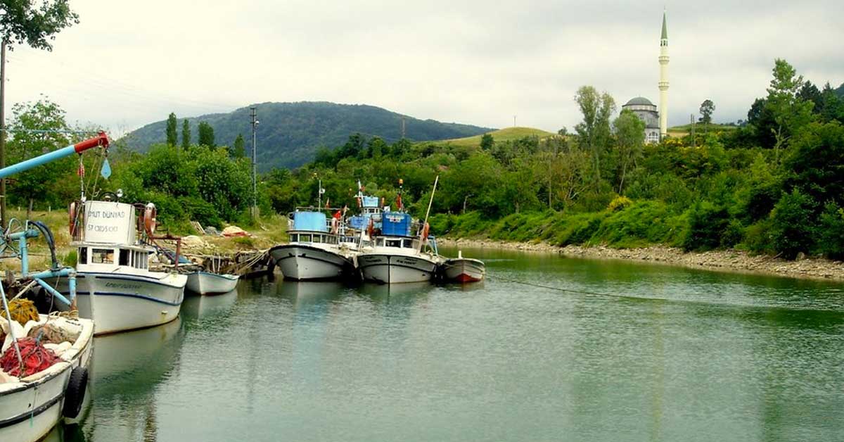 Gebelit Koyu