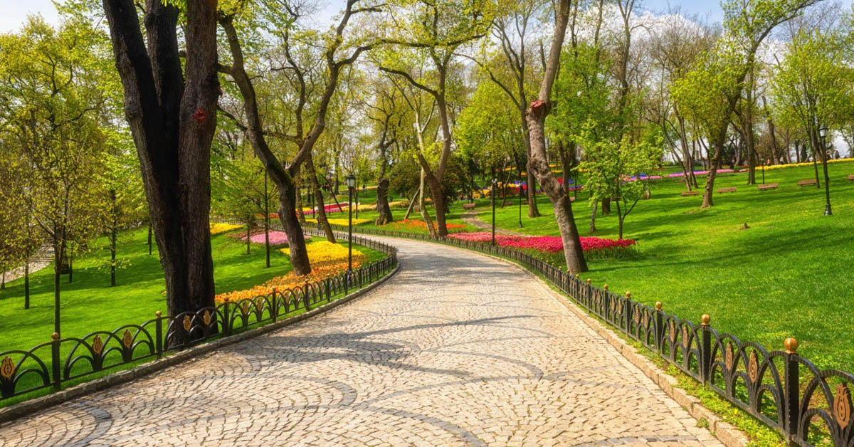 Emirgan Korusu Nerede