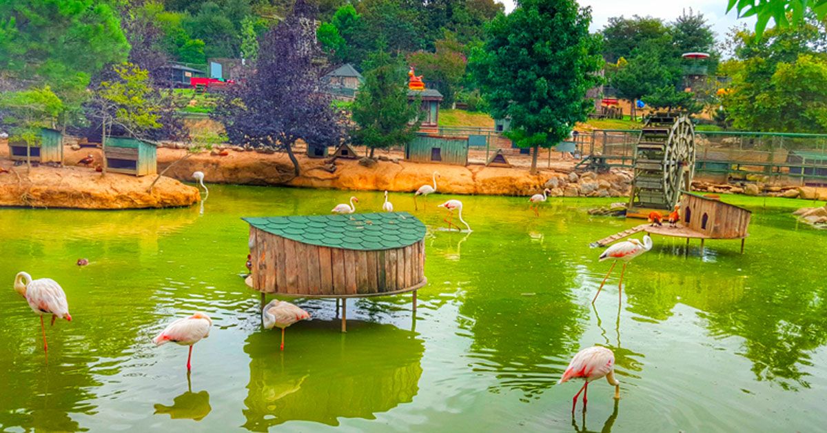 Polonezköy Tabiat Parkı