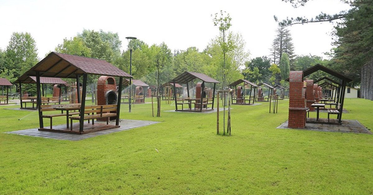 Regülatör Piknik Alanı