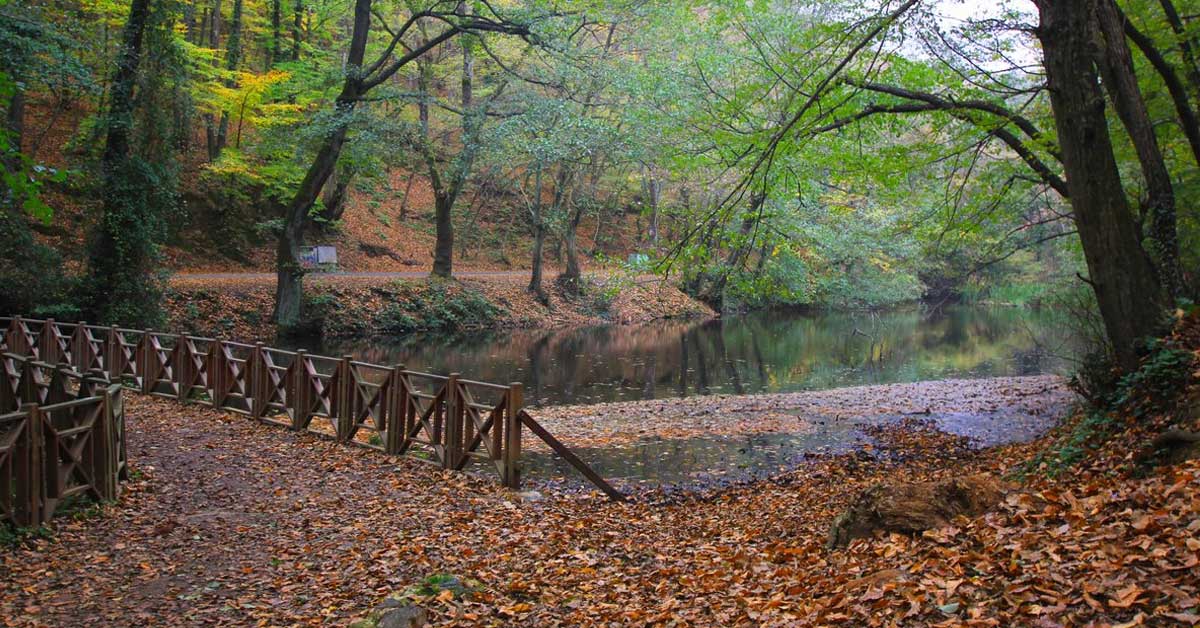 Belgrad Ormanı'nda Yapabileceğiniz Aktiviteler
