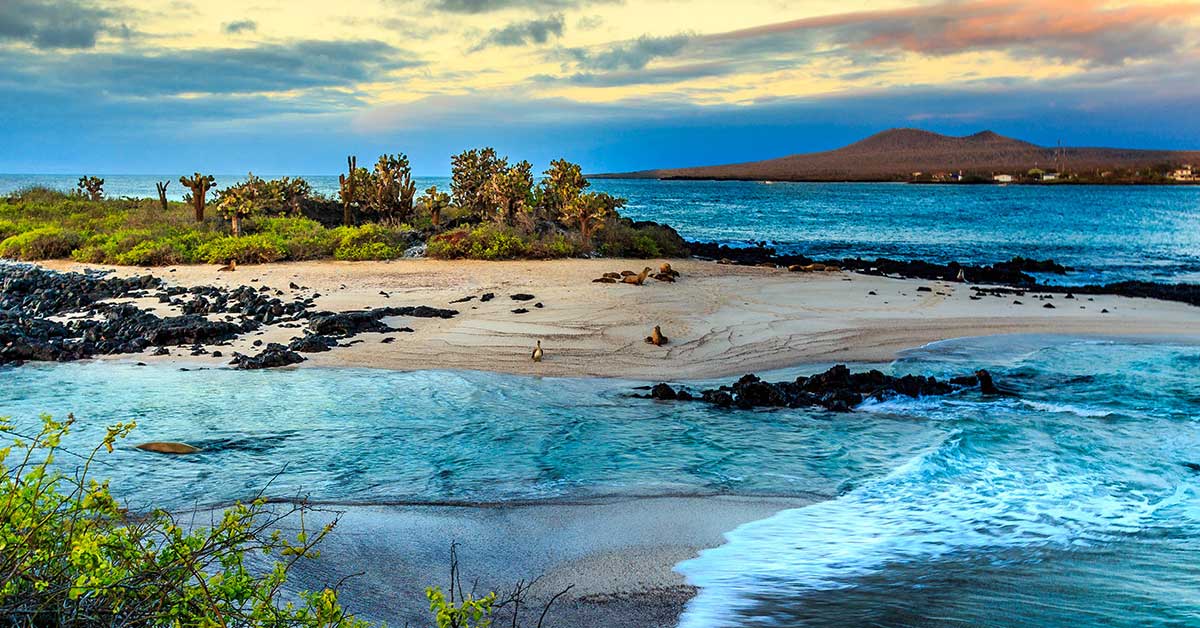 Galapagos Adaları: Doğal Harikalar ve Vahşi Yaşam