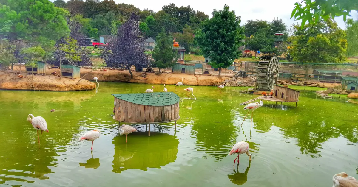 Polonezköy Tabiat Parkı