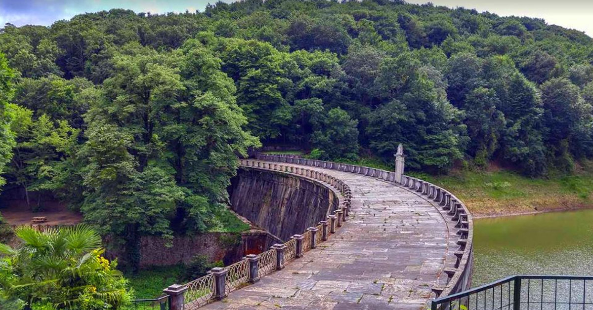 Belgrad Ormanı: Şehirden Kaçış Noktası