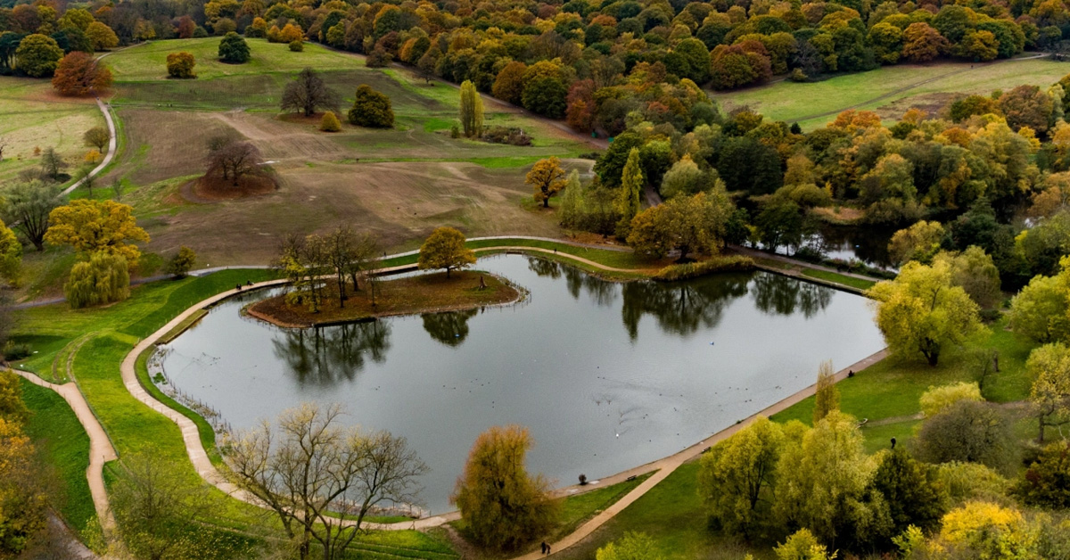 Hampstead Heath