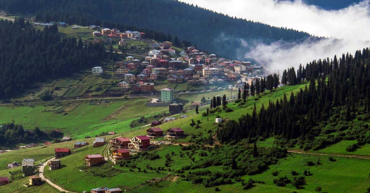 Kümbet Yaylası: Yeşilin Her Tonu