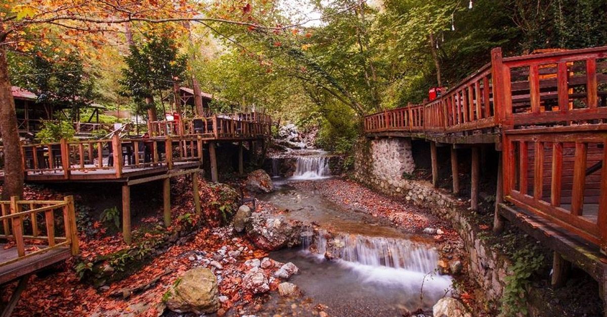 Maşukiye