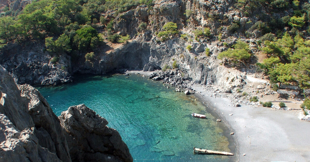 Aşı Koyu