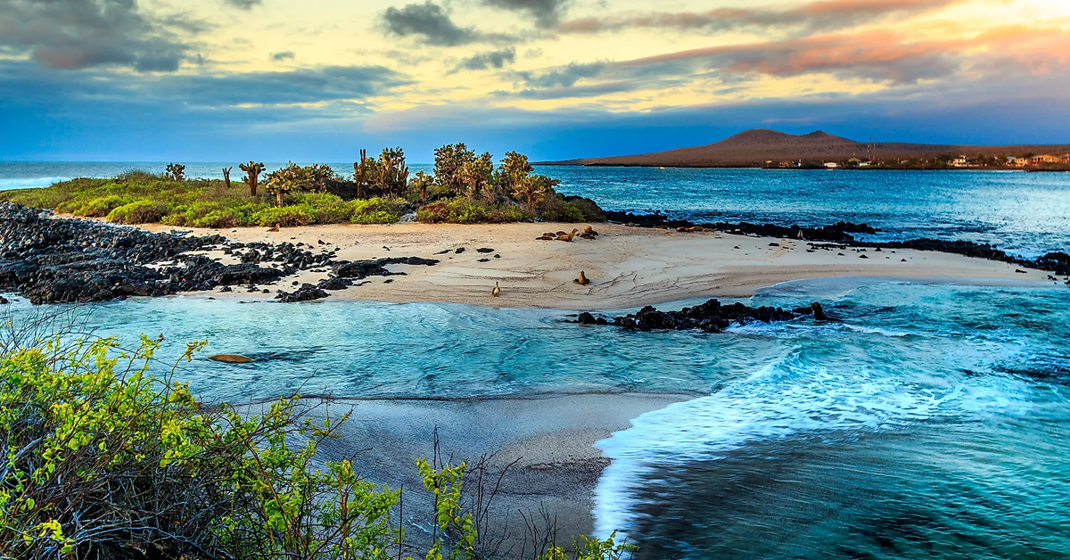 Galápagos Adaları, Ekvador