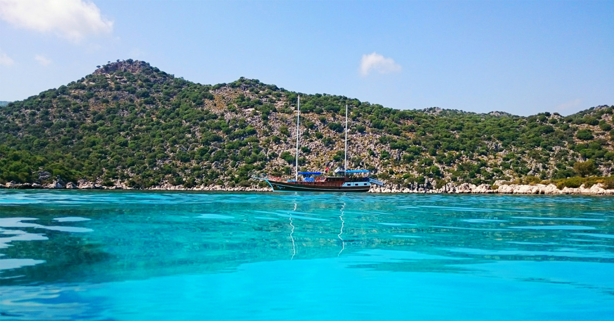Akvaryum Koyu