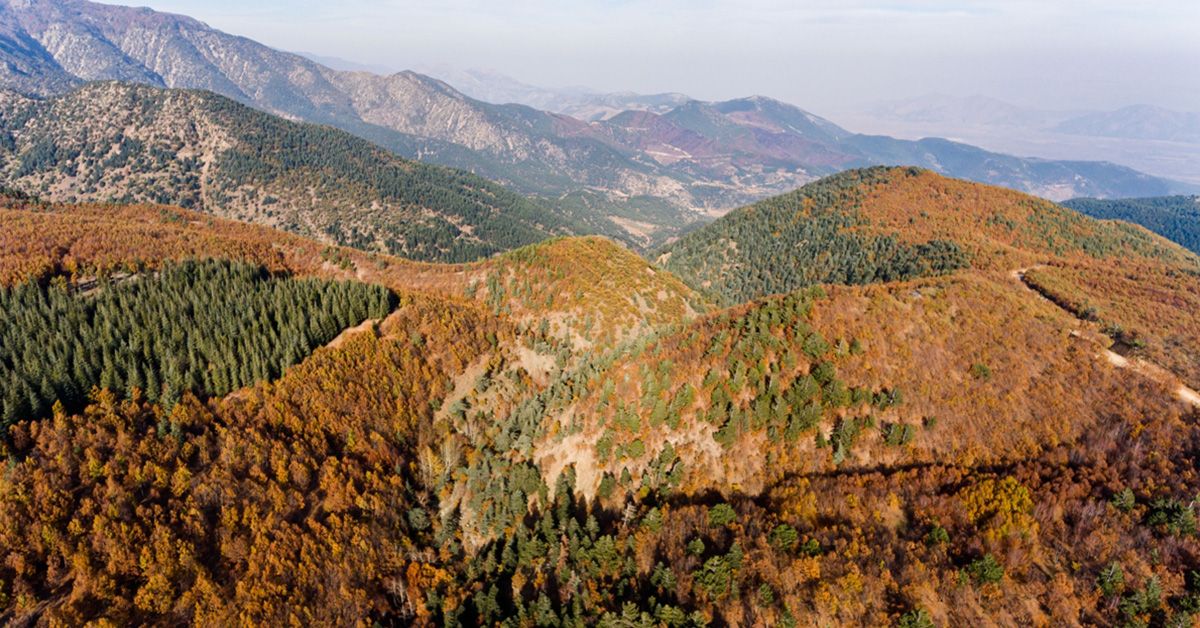 Amanos Dağları
