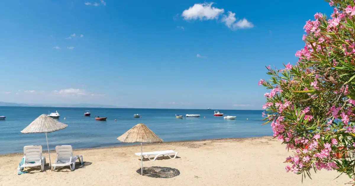 Ocaklar Plajı