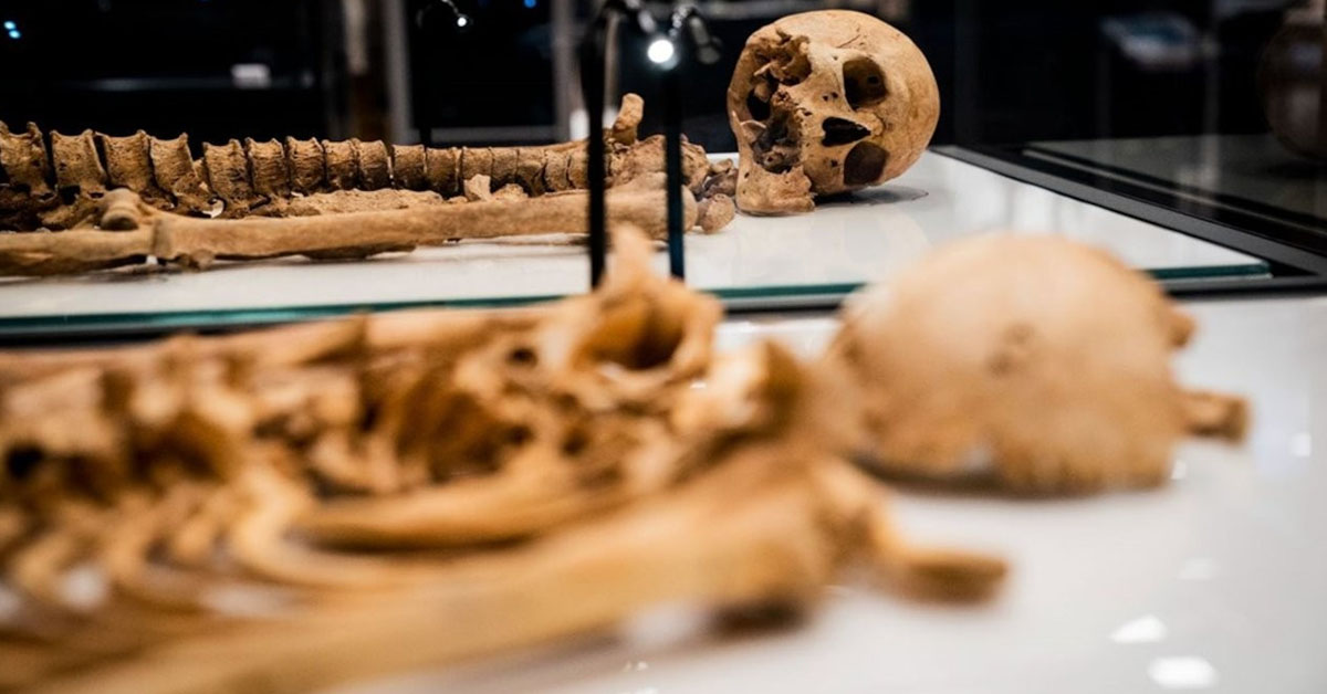 Danimarka Ulusal Sanat Müzesi