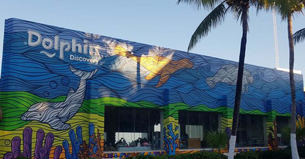 Yunus Keşfi Cozumel