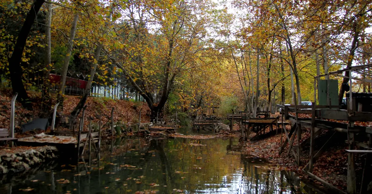 Ağva