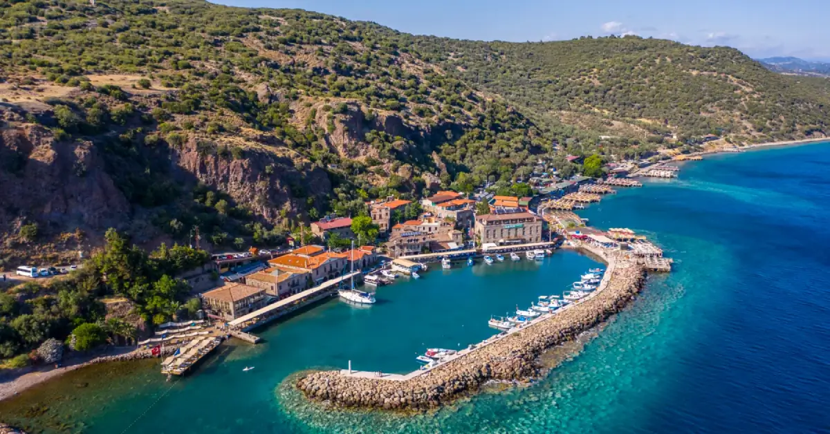 Assos
