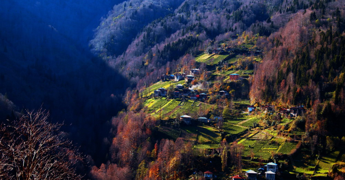 Çamlıhemşin