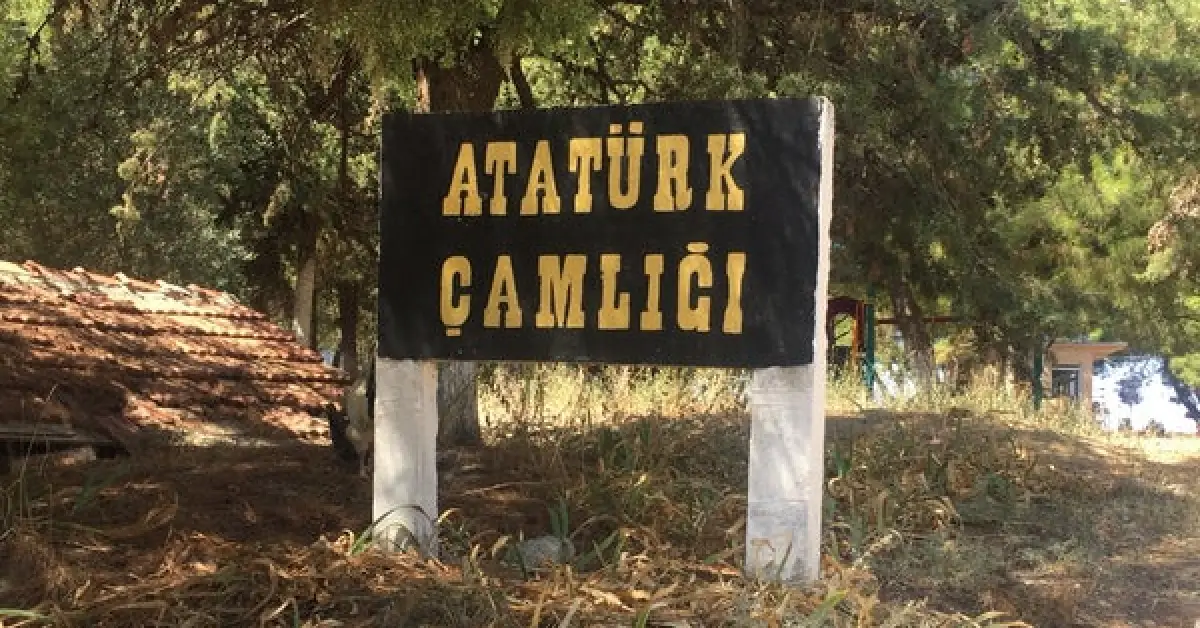 çamlık
