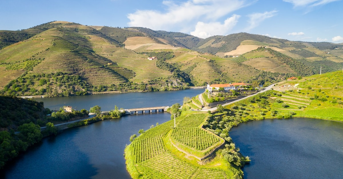 Douro Vadisi