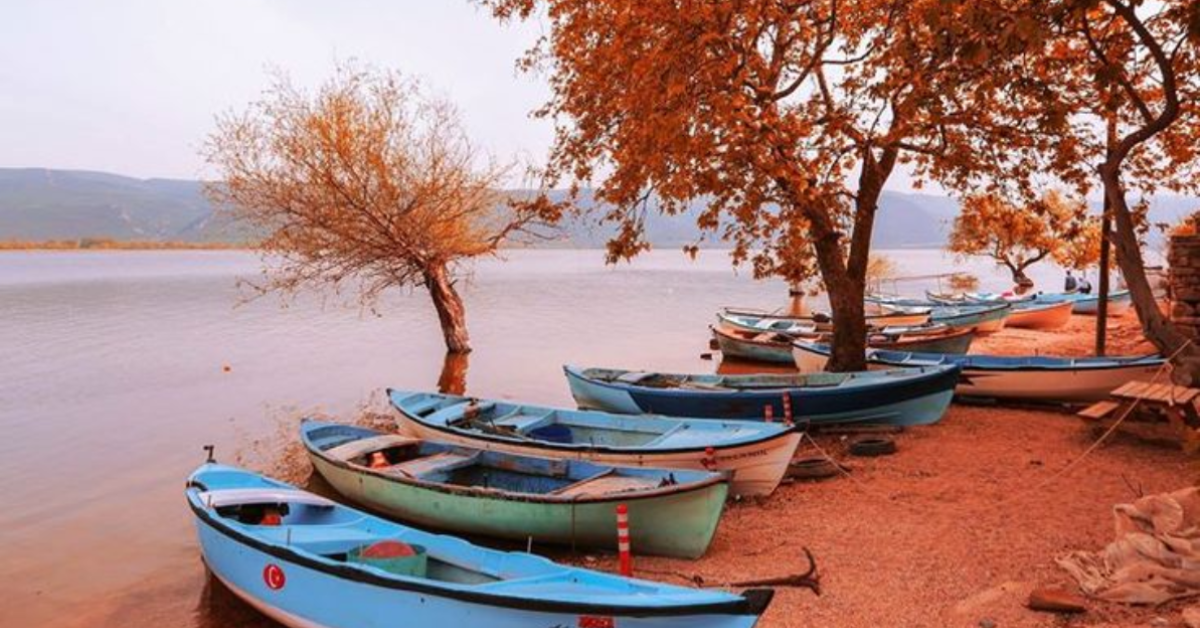 Gölyazı
