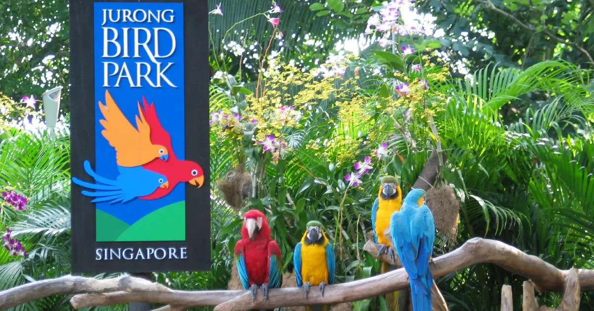 Jurong Kuş Parkı