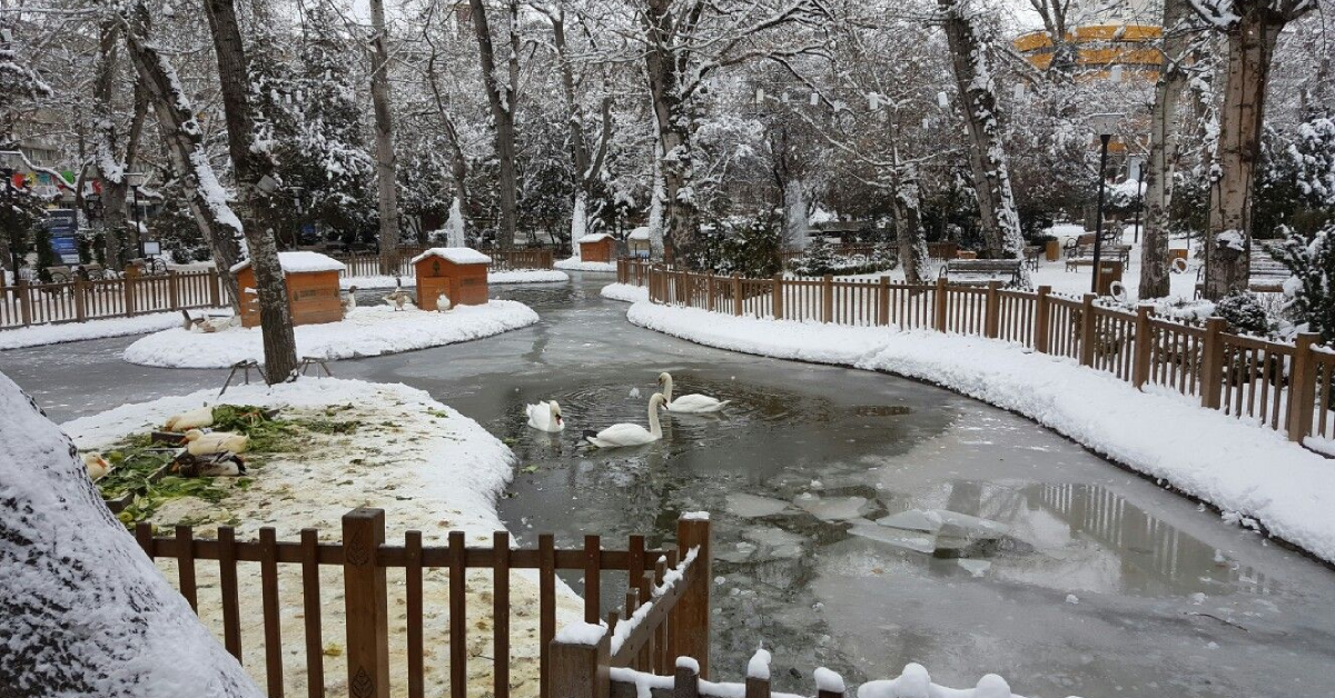 Kuğulu Park