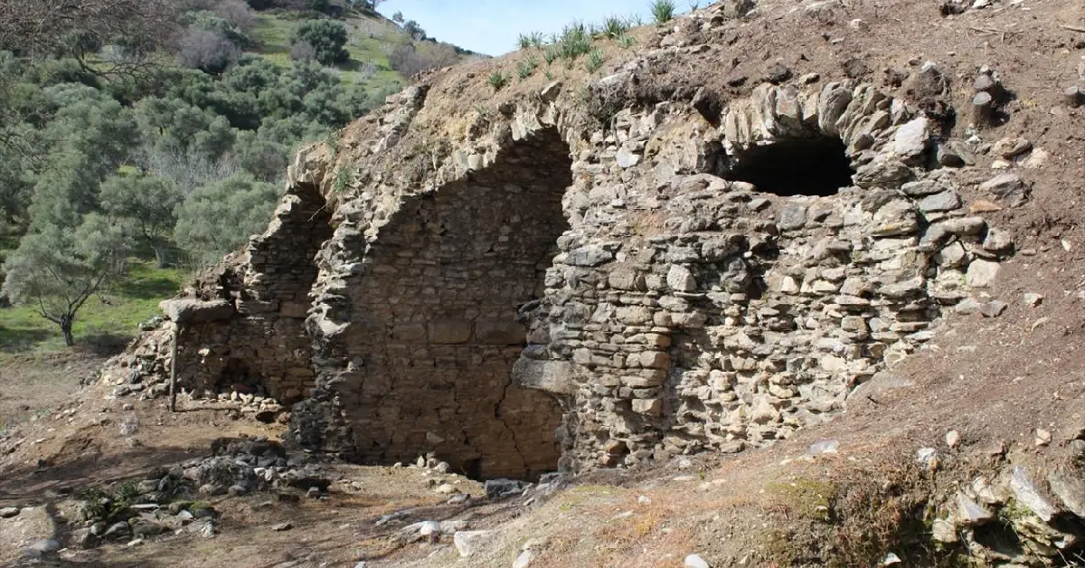 mastaura