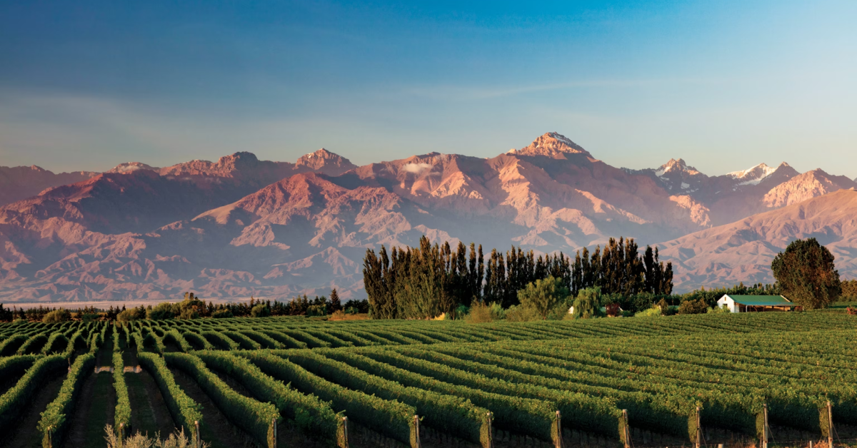 Mendoza