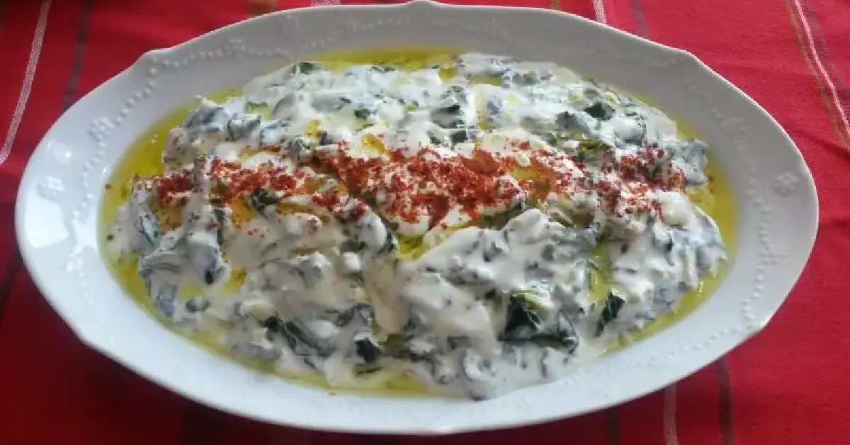 yoğurtlu borani