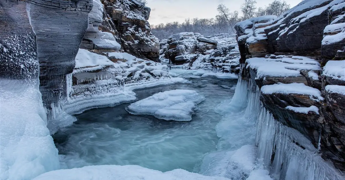 Abisko Adventure Park