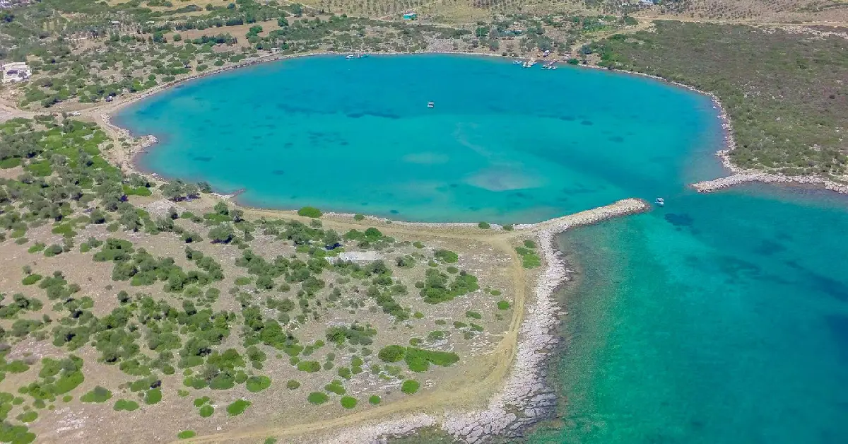 Akvaryum Koyu