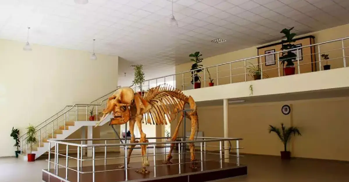 Ali Demirsoy Doğa Tarihi Müzesi