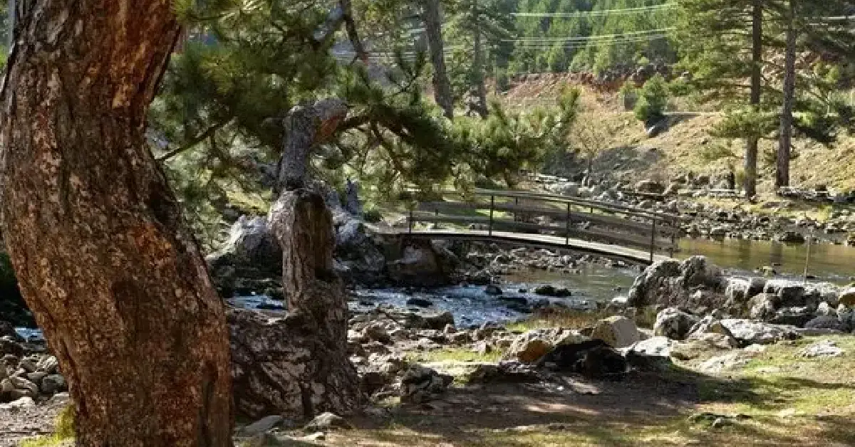 Başpınar Tabiat Parkı