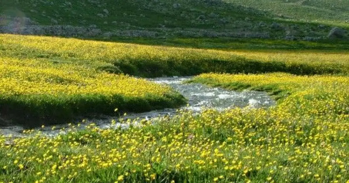 Berçelan Yaylası