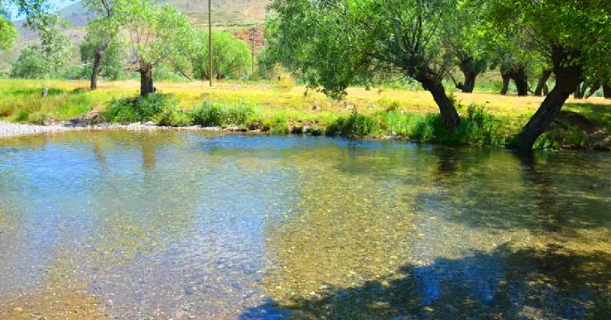 Beytahtı Mesire Alanı