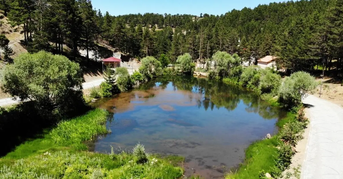 Dumanlı Yaylası