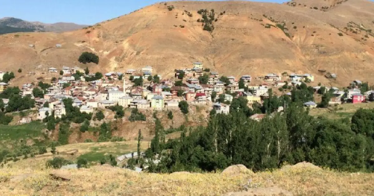 Hazarşah Koyu