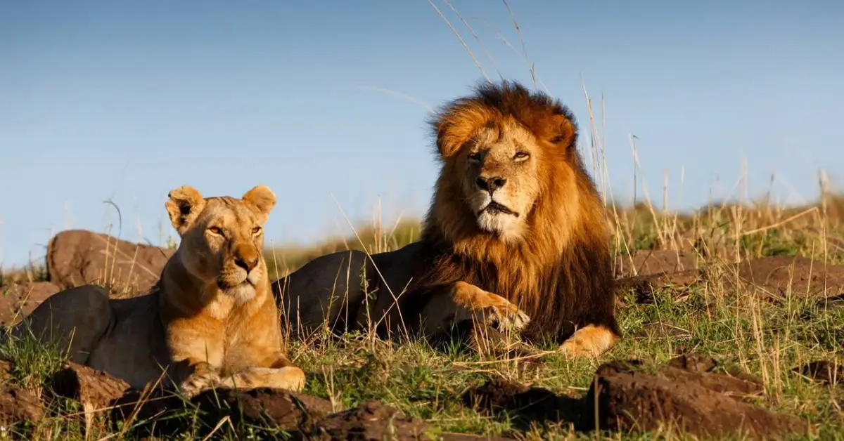 Inverdoorn Prive Game Reserve